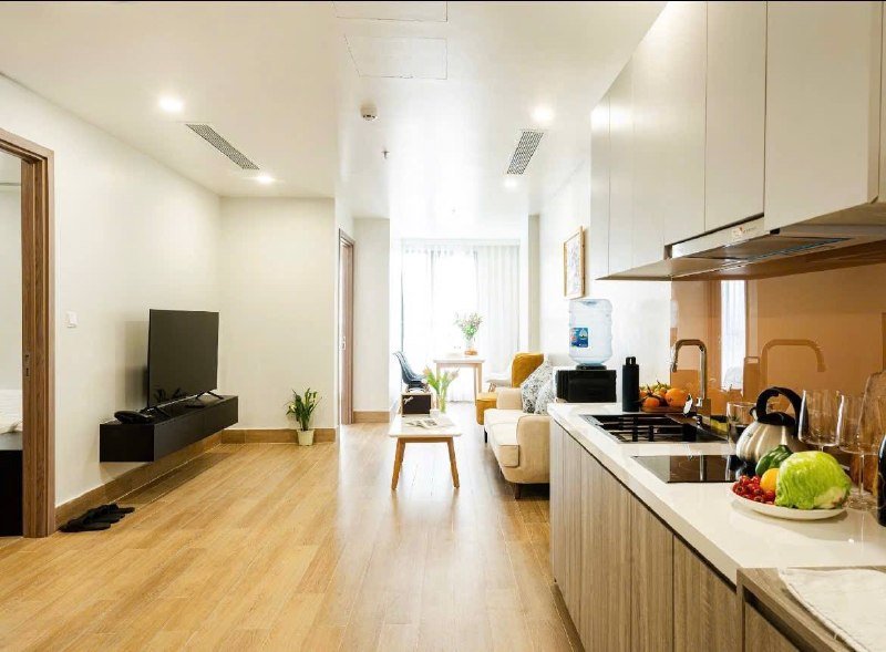 Apartment for rent in District 2 - Thao Dien / An Phu, Ho Chi Minh City