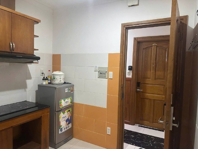 Apartment for rent in District 2 - Thao Dien / An Phu, Ho Chi Minh City