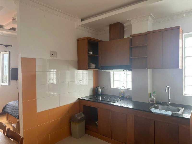 Apartment for rent in District 2 - Thao Dien / An Phu, Ho Chi Minh City