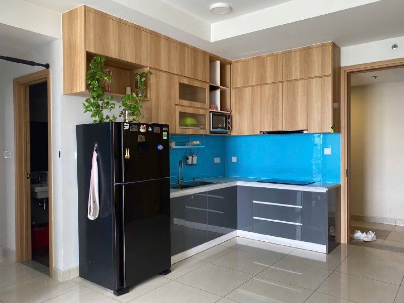 Apartment for rent, Ho Chi Minh City - 2