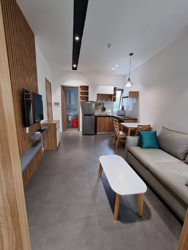 Apartment for rent in District 2 - Thao Dien / An Phu, Ho Chi Minh City - 3
