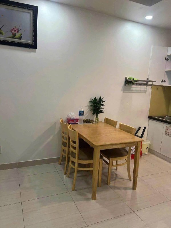 Apartment for rent in Binh Chanh, Ho Chi Minh City - 2