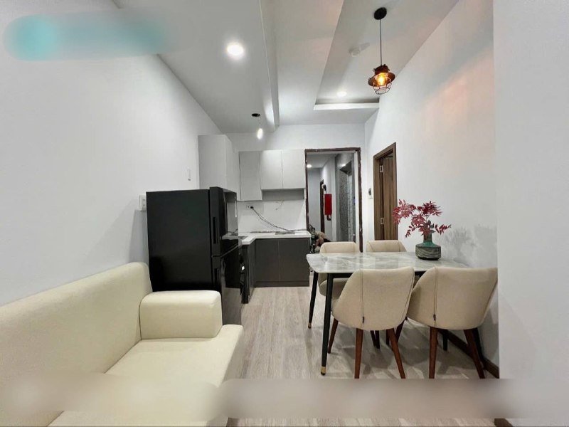 Apartment for rent in Binh Thanh, Ho Chi Minh City