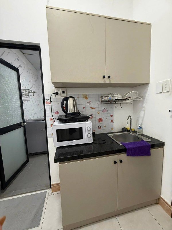 Apartment for rent in District 2 - Thao Dien / An Phu, Ho Chi Minh City - 3