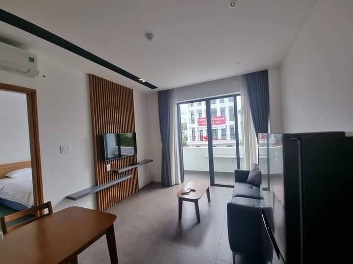 Apartment for rent in District 2 - Thao Dien / An Phu, Ho Chi Minh City