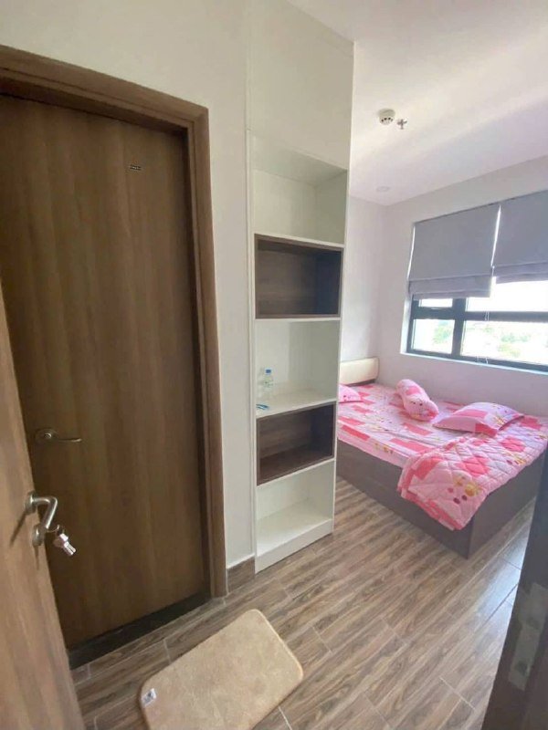 Apartment for rent, Ho Chi Minh City - 3