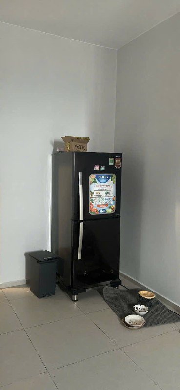 Apartment for rent in Binh Chanh, Ho Chi Minh City - 3